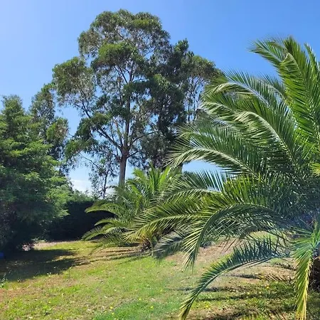 Sunshine Moradia For 10 Persons