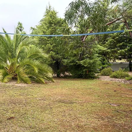 Dom wakacyjny Sunshine Moradia For 10 Persons Tomar