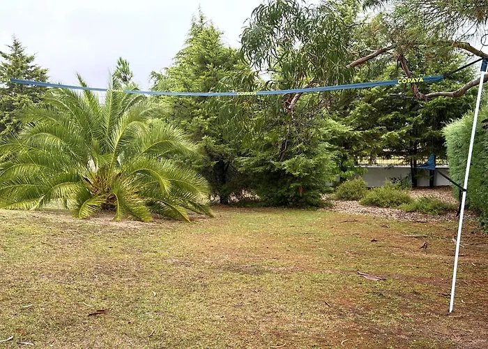 Casa vacanze Sunshine Moradia For 10 Persons Tomar